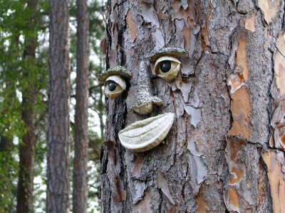 [Eyes, nose, and mouth attached to a pine tree trunk.]